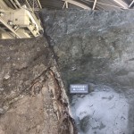 20190512_222119157_iOS