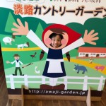 20190513_033426913_iOS