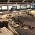 20190513_033434986_iOS