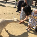 20190513_033454150_iOS