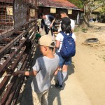 20190513_033459182_iOS